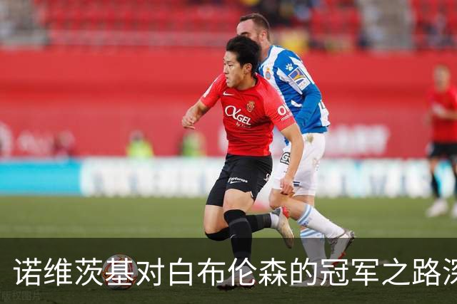 诺维茨基对白布伦森的冠军之路深感惊喜